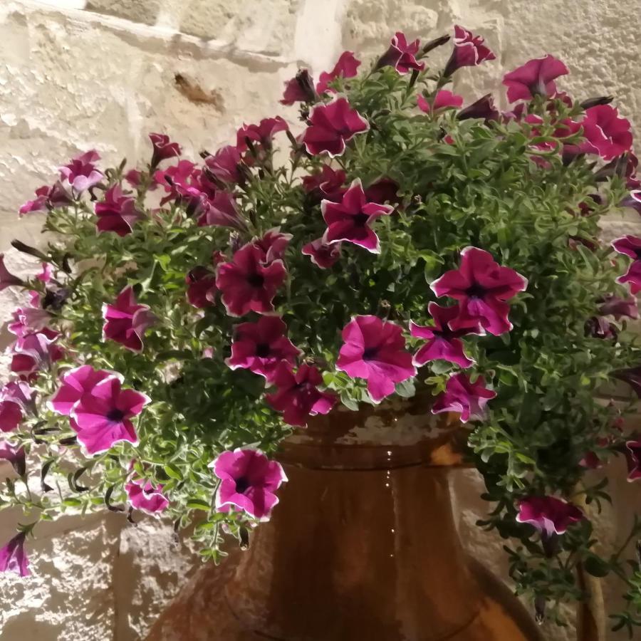 Annas Trulli Paradise-Alberobello Martina Franca Ngoại thất bức ảnh